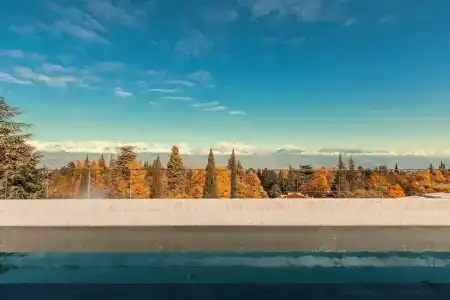 Tsinandali Estate, A Radisson Collection - 24