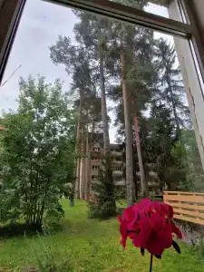 Сокол - 41