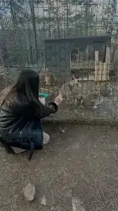 Магия леса - 56