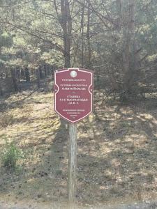 Энергетик - 57