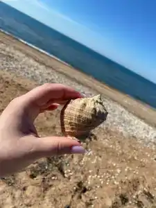 Амбассадор - 14