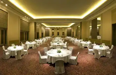 Radisson Blu Bengaluru Outer Ring Road - 95