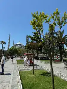 Ottoman Elegance - 12