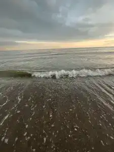 на Садовой - 8