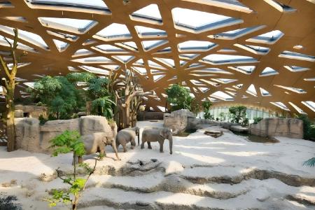 Montana Zürich - 90