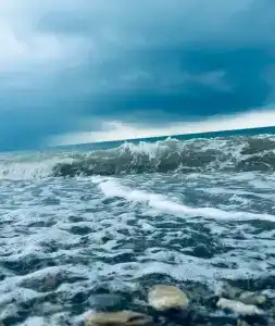 Белые ночи - 7