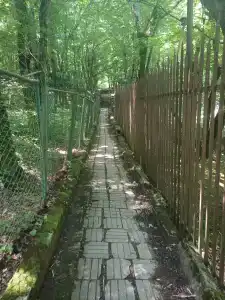 Экспресс - 2
