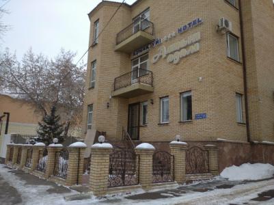 Алтын Адам - 1