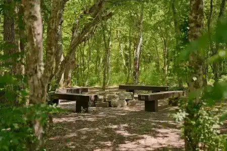 Туристический лагерь Абрау-Дюрсо - 18