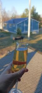 Березовый хутор - 46