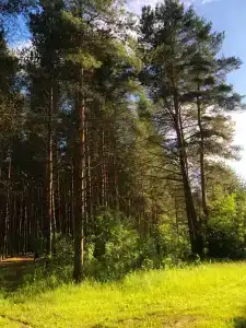 Дом Zarechye с русской баней и горячей купелью - 14