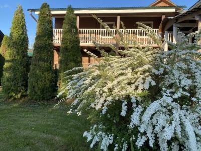 Самоварное заведение - 13