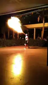 Alexia Resort & Spa - All Inclusive - 19