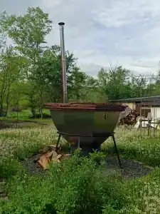 Приют Дара - 35