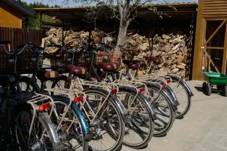 Родные просторы - 17