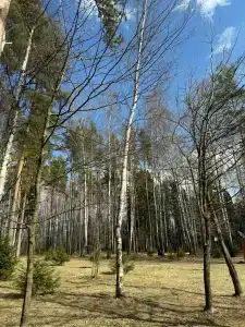 Остров Зеленый - 17