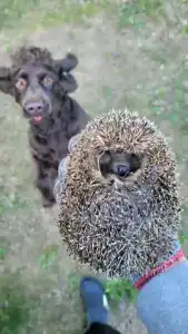 Зеленая Тропа Деревня - 15