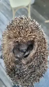 Зеленая Тропа Деревня - 28