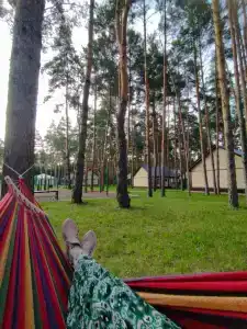 Сосновый бор - 11