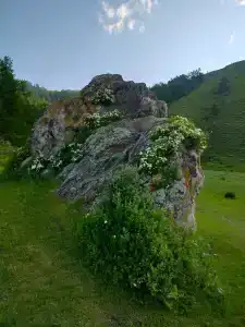 Белый Алтай - 41
