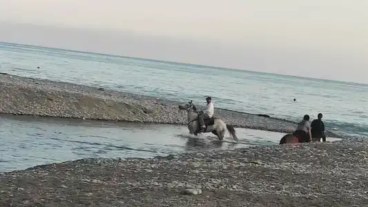 Особенный - 10