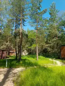 ПриродаРОДА - 48