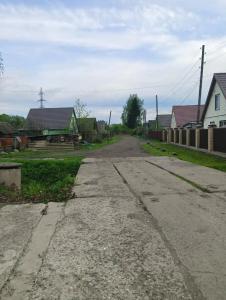 Две берёзки - 44