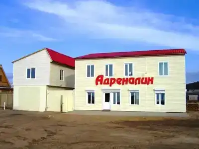 Адреналин - 3