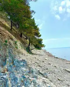 Дикий Берег - 12