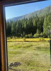 Лесной берег - 9