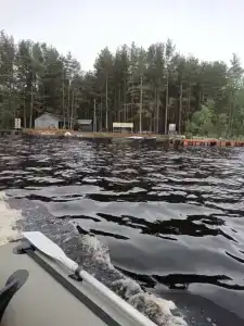 Весьегонский остров - 49