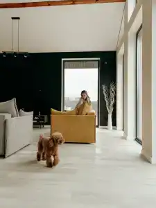 Shelest - 12