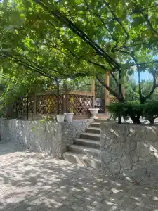 Ореон - 1