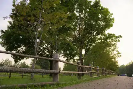 Мятный сад - 1