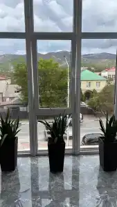 Альфа - 33