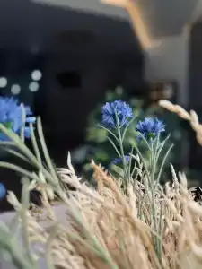 Ивановоотель - 4