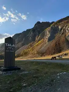 Тала - 30