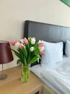 Грин Сити - 6