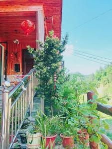 Longquan Inn - 21