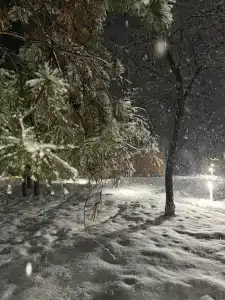 ПриродаРОДА - 37