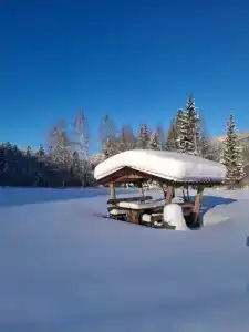 Сказка - 15
