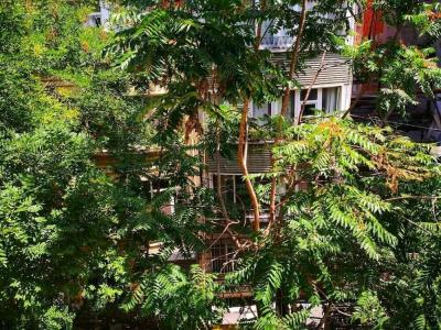 gafa garden Hostel - 2