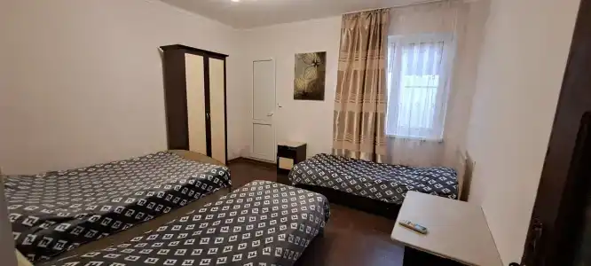 Виноградная Лоза - 2