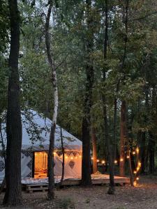 Юрта-парк на острове - 44