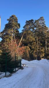 Под небом Архыза - 16