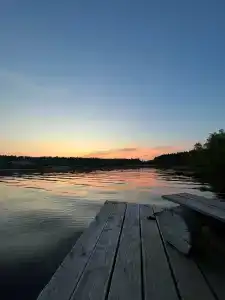 Forest Park - Tiny House - 17