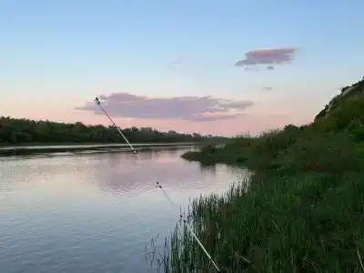 Дары Дона - 9