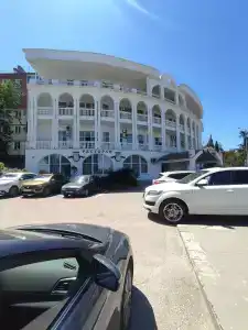 Дельфин - 13
