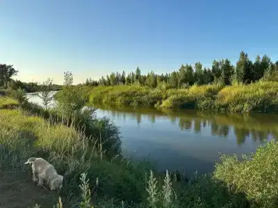 Усадьба Заилечье - 33