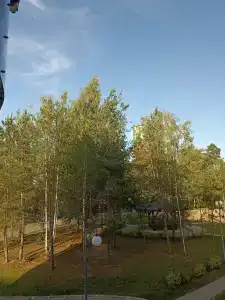 Жемчужина - 23